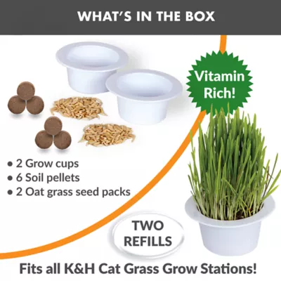 Product K&H Cat Grass Grow Station Refill Kit 2 Count