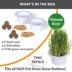 K&H Cat Grass Grow Station Refill Kit 2 Count image thumbnail 4