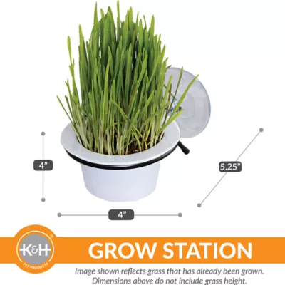 Product K&H Pet Products EZ Mount Window Cat Grass Grow Station