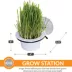 K&H Pet Products EZ Mount Window Cat Grass Grow Station image thumbnail 4