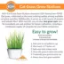 K&H Pet Products EZ Mount Window Cat Grass Grow Station image thumbnail 7