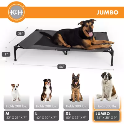 Product K&H Pet Products Pet Cot Raised Dog Bed