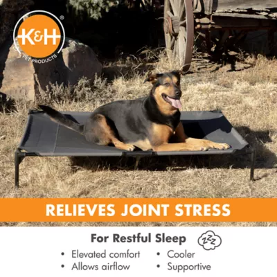 Product K&H Pet Products Pet Cot Raised Dog Bed