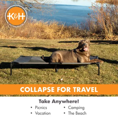 Product K&H Pet Products Pet Cot Raised Dog Bed