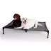 K&H All Weather Pet Cot image thumbnail 1