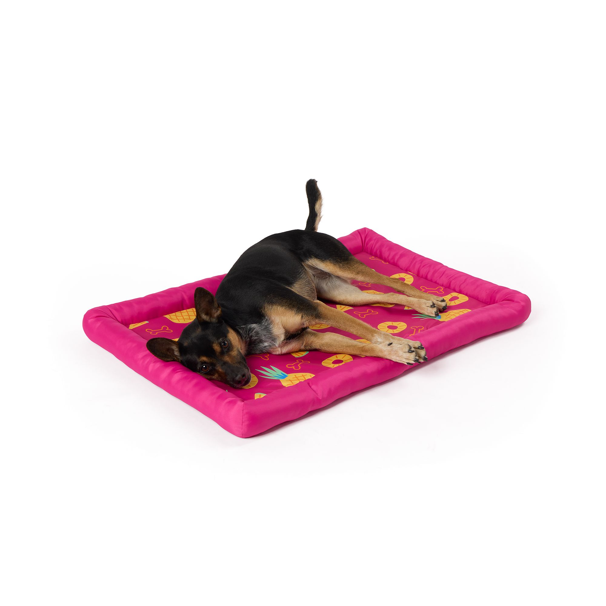 Top Paw® Pineapple Cooling Bolster Mat