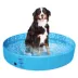 Top Paw® Foldable Pool image thumbnail 1