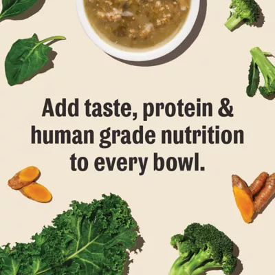Product The Honest Kitchen Superfood Pour Overs All Life Stages Wet Dog Food Topper - Chicken Stew