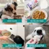 The Honest Kitchen Daily Boosters Dehydrated Bone Broth All Life Stages Dog Food Topper - Beef image thumbnail 5