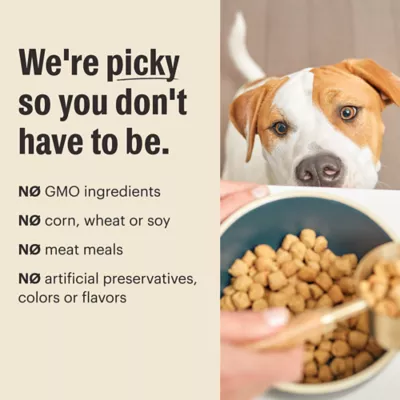 Product The Honest Kitchen Grain Free Clusters Adult Dog Dry Food - Beef