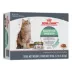 Royal Canin Feline Adult Wet Cat Food Nutrition, Digestive Care - Thin Slices in Gravy, 3 oz x 12Pk image thumbnail 1