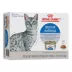 Royal Canin Feline Adult Wet Cat Food, Indoor Health Nutrition - Morsels in Gravy 3 oz x 12 Pack image thumbnail 1