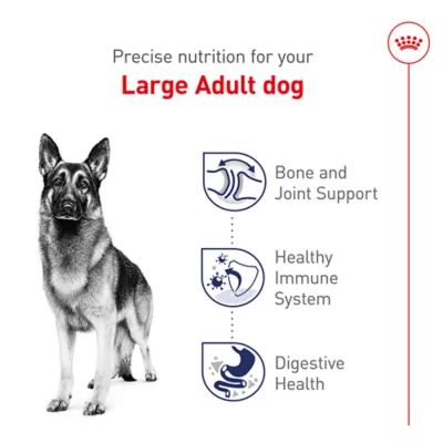 Product Royal Canin Large Adult Dry Dog Food Health Nutrition