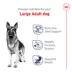 Royal Canin Large Adult Dry Dog Food Health Nutrition image thumbnail 3