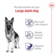 Product Royal Canin Large Adult Dry Dog Food Health Nutrition