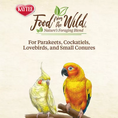 Product KAYTEE® Food From the Wild Natural Snack Blend for Small Birds