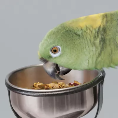 Product KAYTEE® Food From the Wild Natural Snack Blend for Large Birds