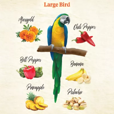 Product KAYTEE® Food From the Wild Natural Snack Blend for Large Birds