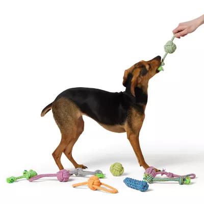 Product Joyhound Value Pack Rope Dog Toy Set