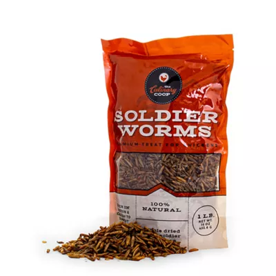 Product Culinary Coop Dried Soldier Worms