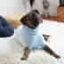 GF PET Fuzzy Sweater - Light Blue image thumbnail 2