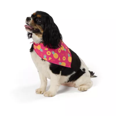 Product Top Paw® Pineapple Dog Bandanas, 2 Count