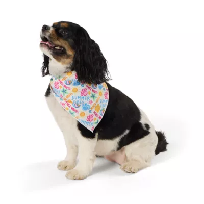 Product Top Paw® Pineapple Dog Bandanas, 2 Count