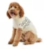 GF PET Fuzzy Sweater Sand image thumbnail 1