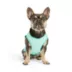 GF PET Ice Vest image thumbnail 1