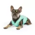 GF PET Ice Vest image thumbnail 6