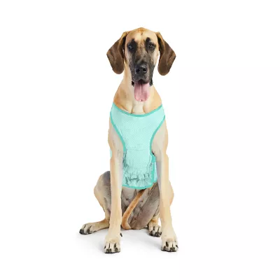 Product GF PET Ice Vest