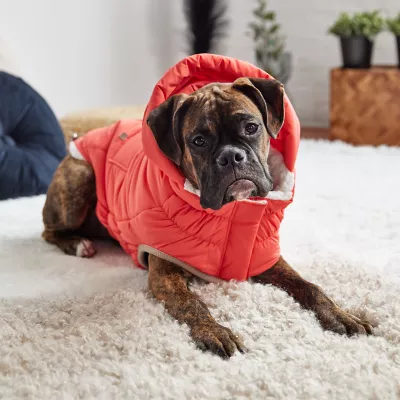 GF Pet Nordic Parka - Image 5