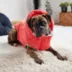GF Pet Nordic Parka image thumbnail 5