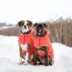 GF Pet Nordic Parka image thumbnail 6