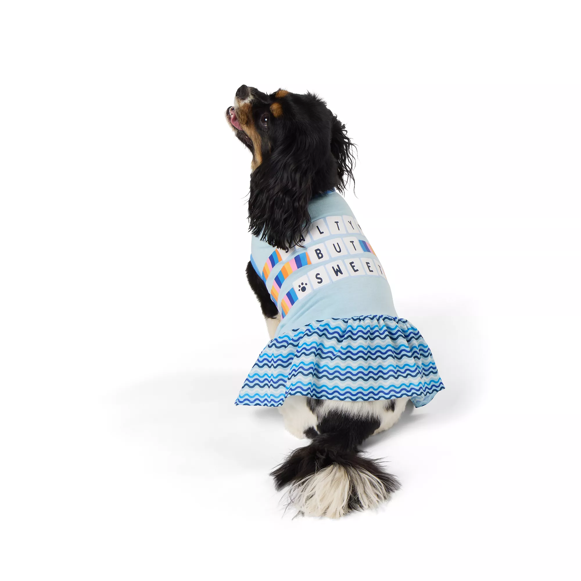 Top Paw® Salty Sweet Dress