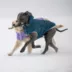 GF Pet Nordic Dog Parka image thumbnail 10