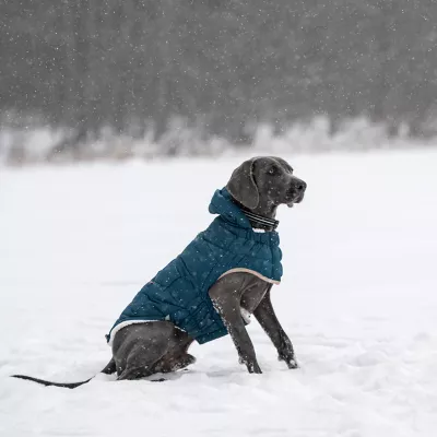 GF Pet Nordic Dog Parka - Image 9