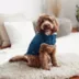 GF Pet Nordic Dog Parka image thumbnail 8