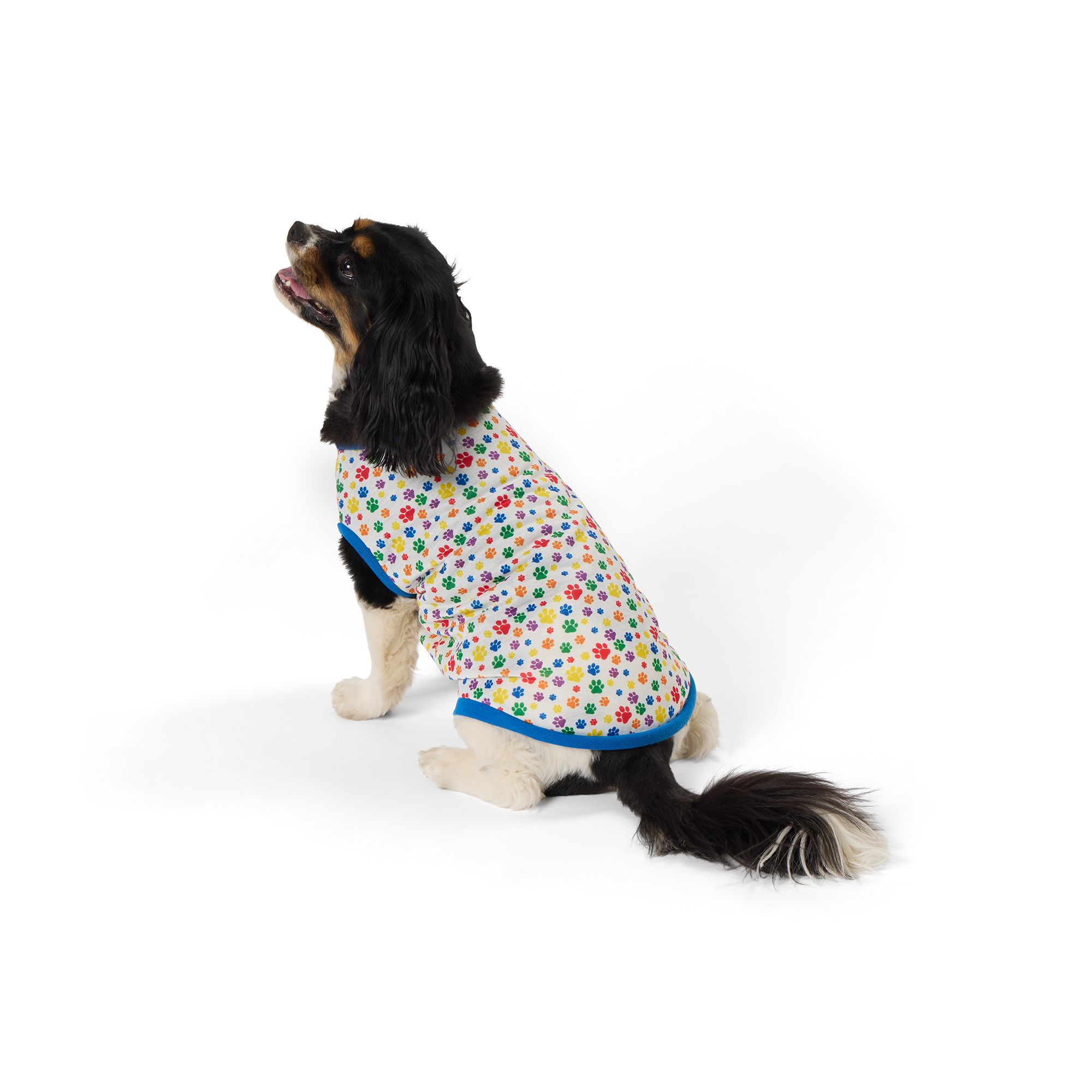 Top Paw® Rainbow Paw Dog Tee