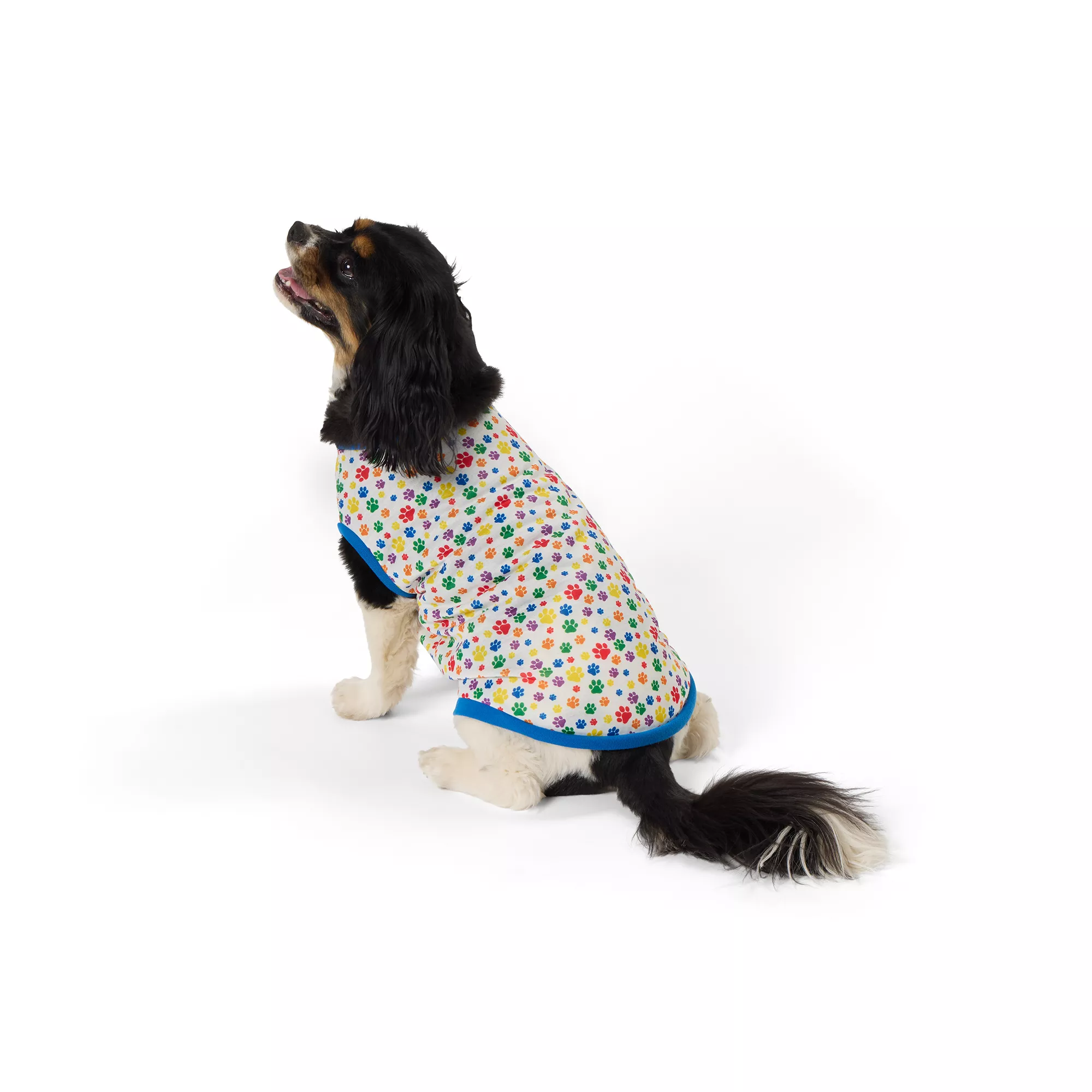 Top Paw® Rainbow Paw Dog Tee