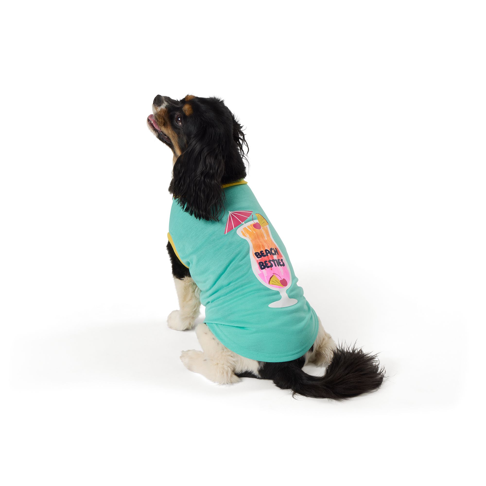 捨七　summer holiday PET Top Paw® Beach Besties Dog Tee