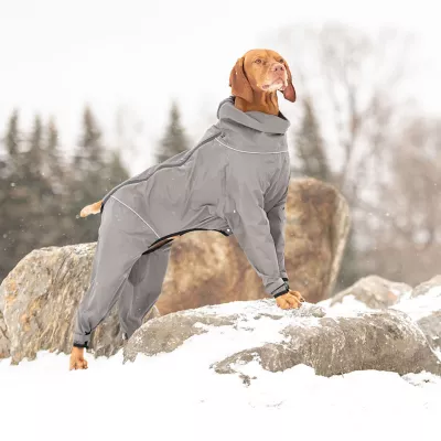 GF PET Splash Suit - Image 7