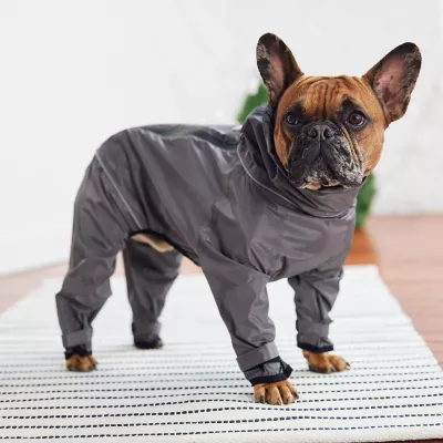 Product GF PET Splash Suit