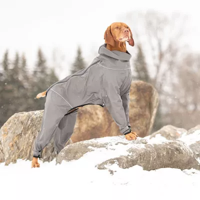 Product GF PET Splash Suit
