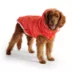 GF PET Elasto-FIT Super Puff Parka - Orange image thumbnail 1