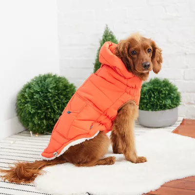 GF PET Elasto-FIT Super Puff Parka - Orange - Image 4