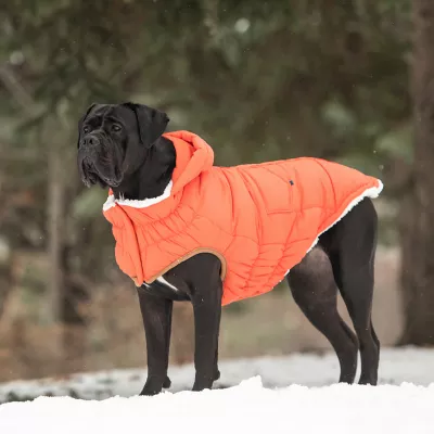 GF PET Elasto-FIT Super Puff Parka - Orange - Image 5