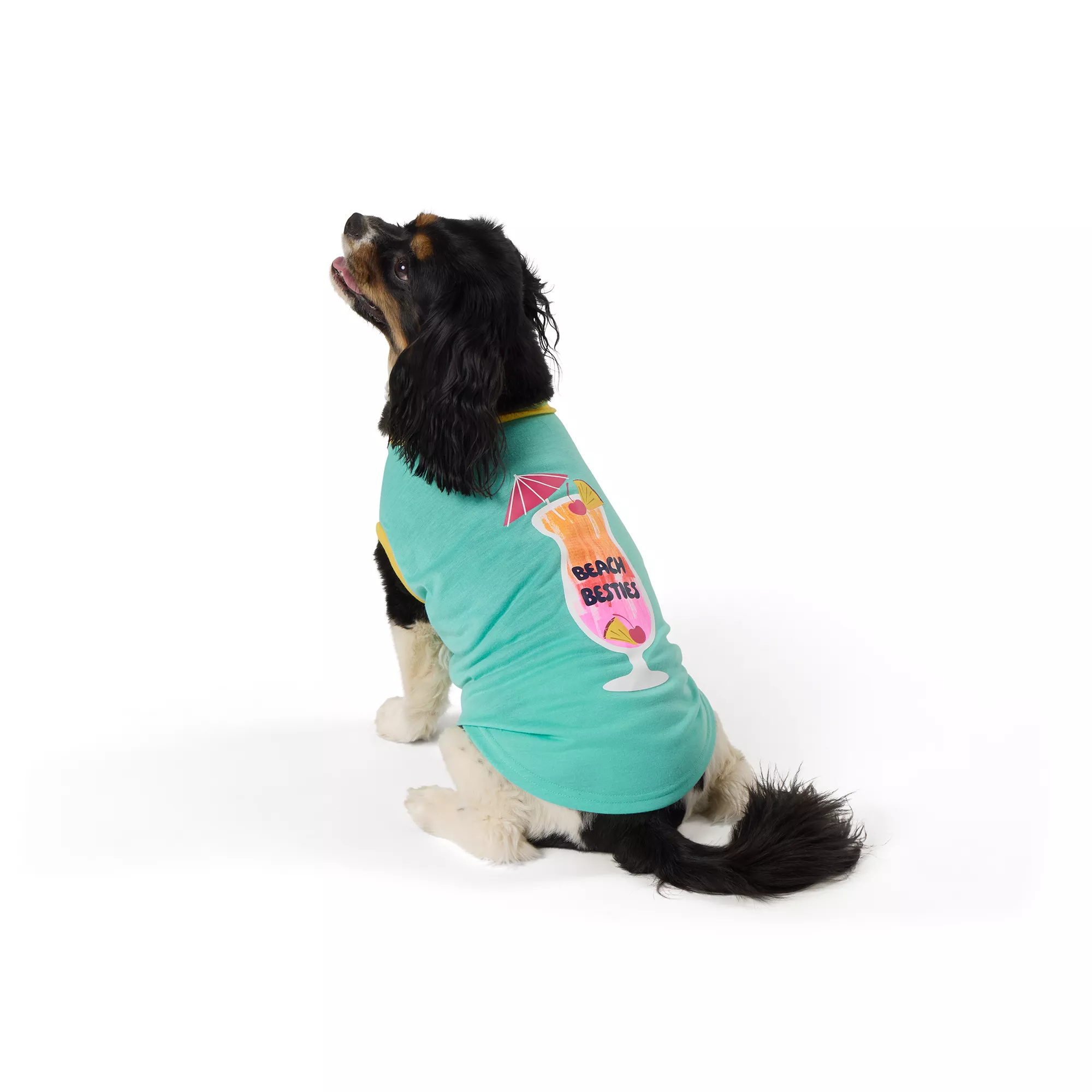 Top Paw® Beach Besties Dog Tee
