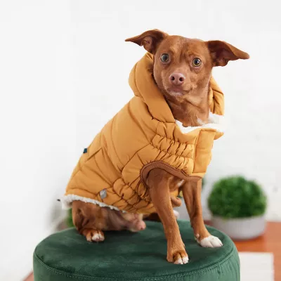 GF PET Elasto-FIT Super Puff Parka - Yellow - Image 4
