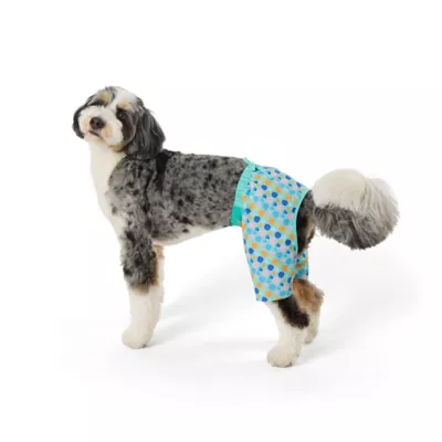 Product Top Paw® Seashell Dog Trunk Shorts
